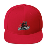 Raptors Snapback Hat