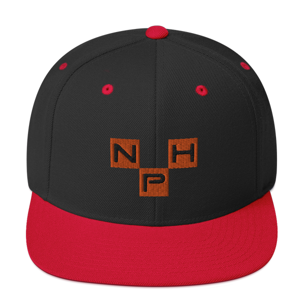 Netparty Herning Snapback Hat