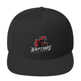 Raptors Snapback Hat